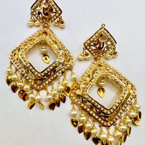 Home new earrings